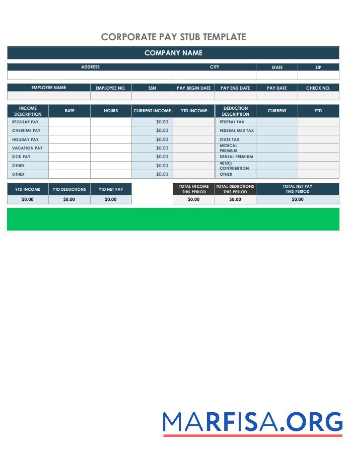 Blank Corporate Pay Stub real example